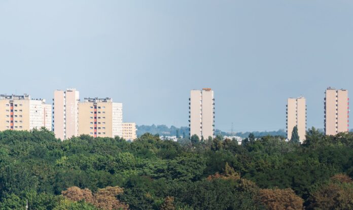 Jakie są zalety prowadzenia działalności w regionie Ciechanowa?